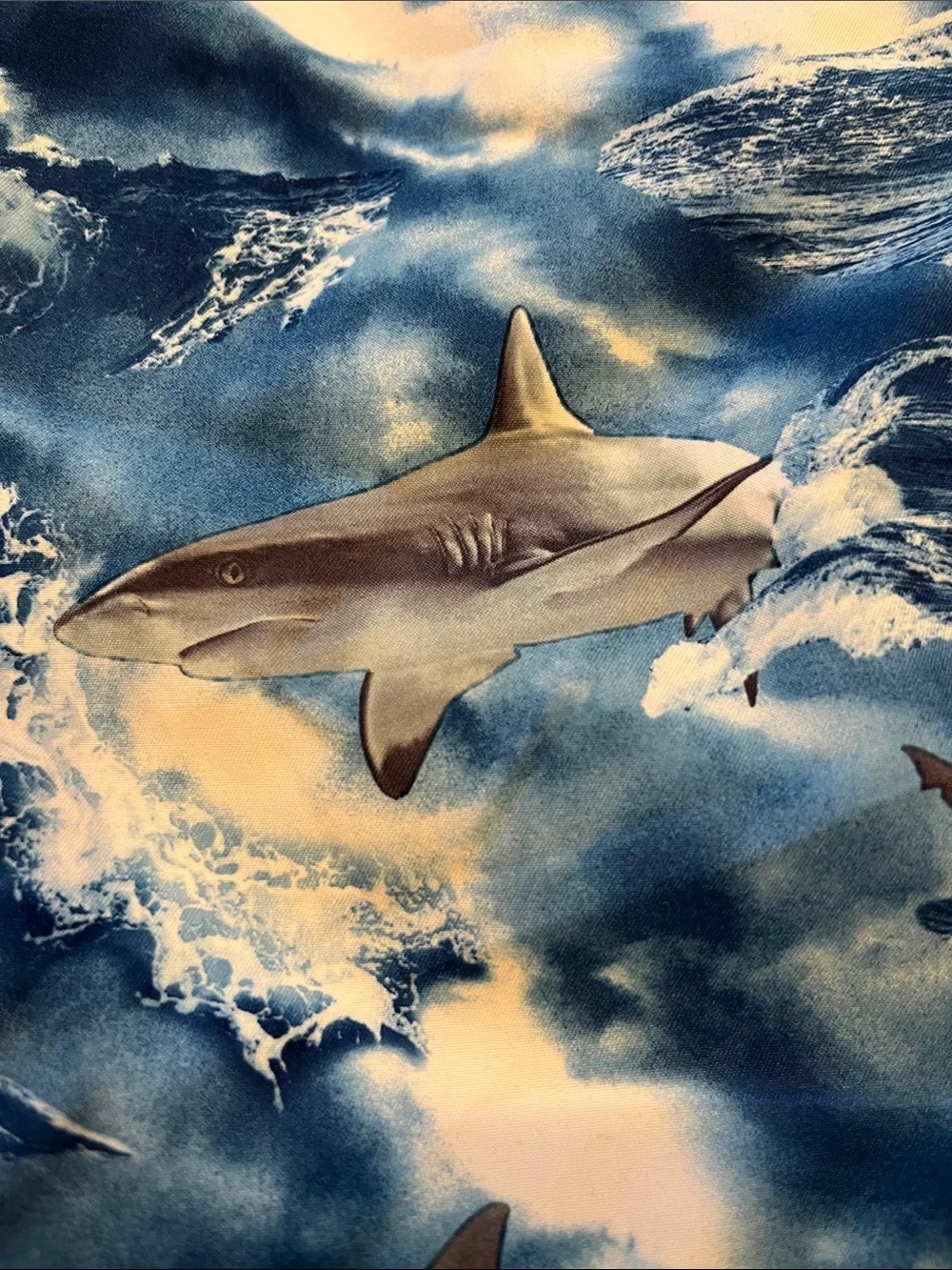 Old Navy Swim Trunks